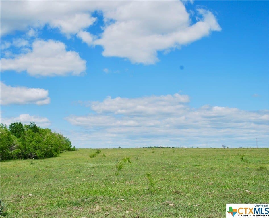 173.18 acres in Guadalupe County - photo 46