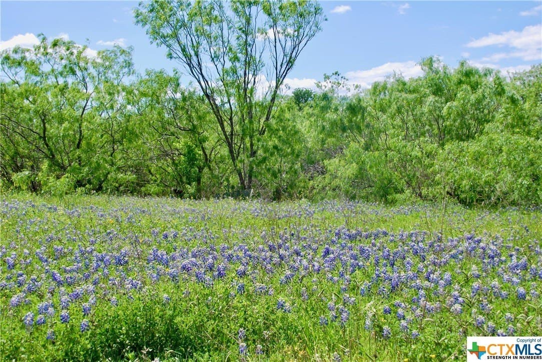 173.18 acres in Guadalupe County - photo 37