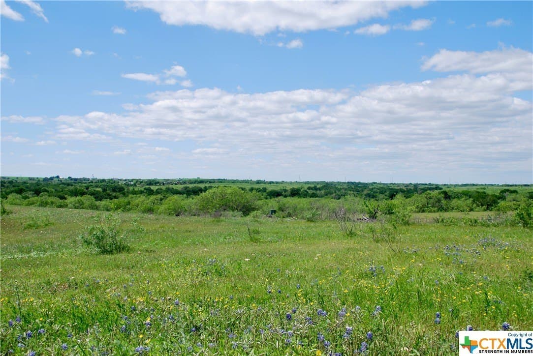 173.18 acres in Guadalupe County - photo 33