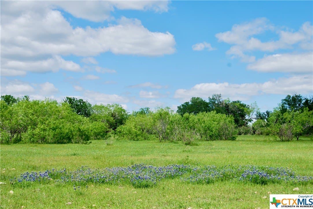 173.18 acres in Guadalupe County - photo 39