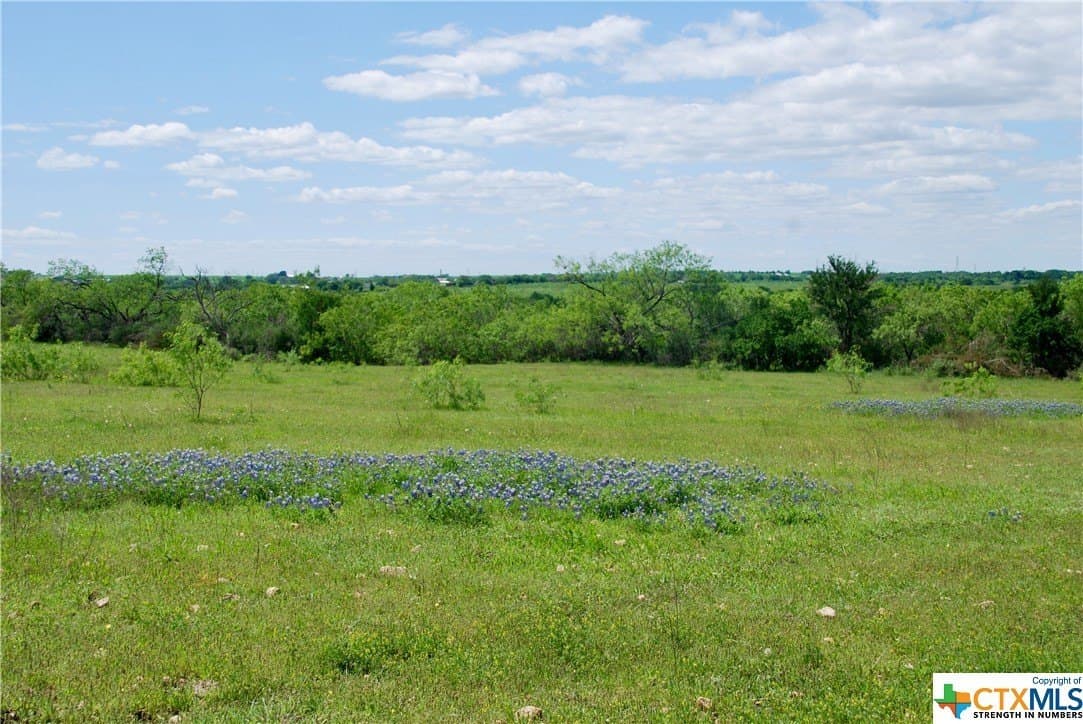 173.18 acres in Guadalupe County - photo 35