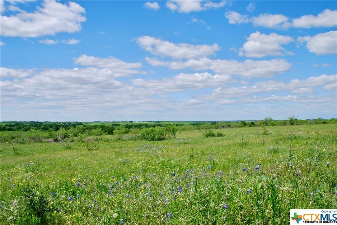 173.18 acres in Guadalupe County - photo 32