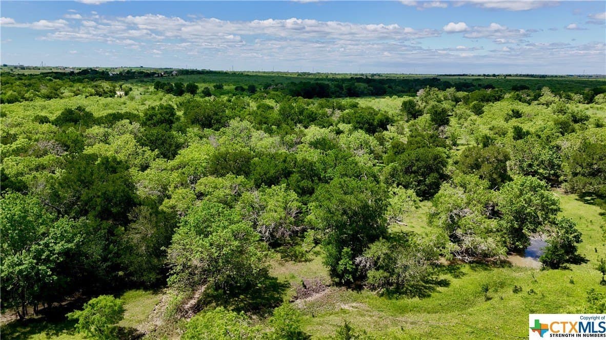 173.18 acres in Guadalupe County - photo 28