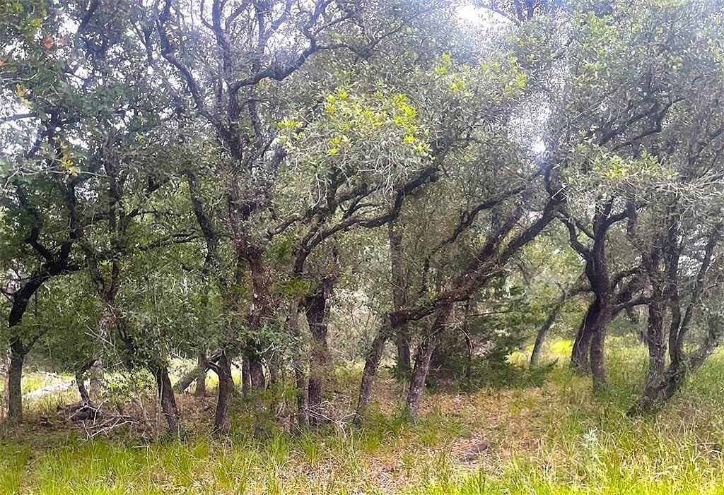 33.43 acres in Lavaca County - photo 5