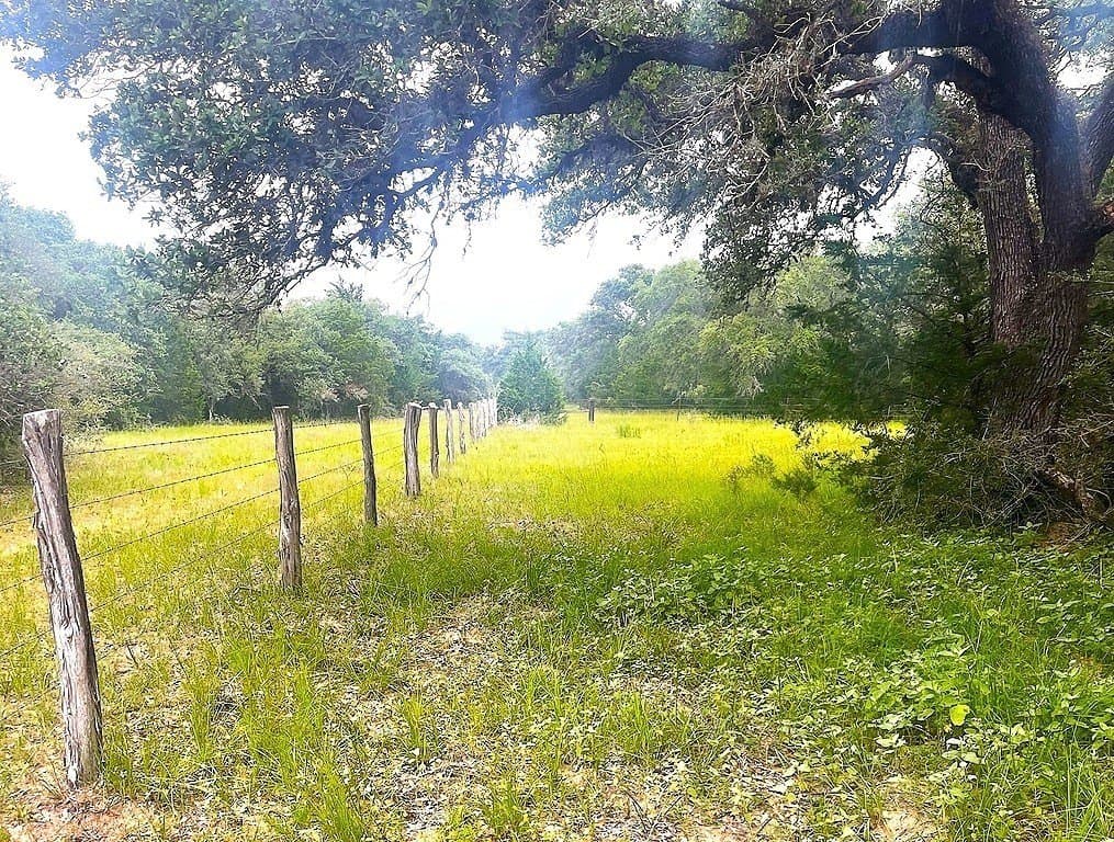 33.43 acres in Lavaca County - photo 3