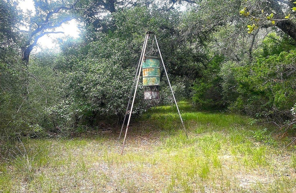 33.43 acres in Lavaca County - photo 10