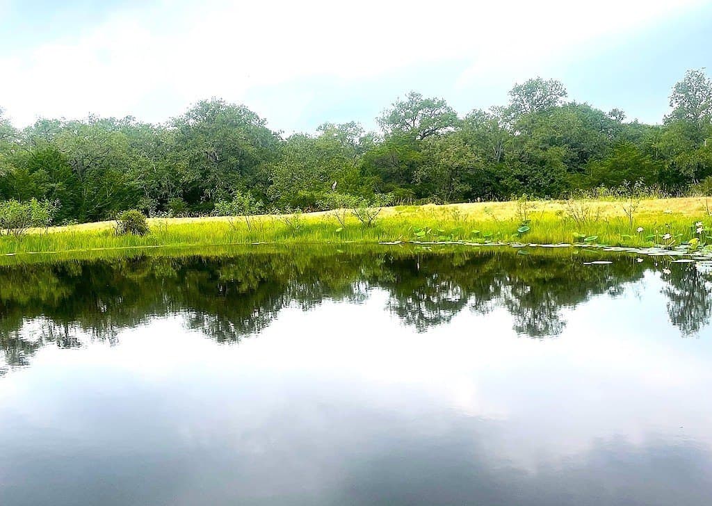 33.43 acres in Lavaca County - photo 12