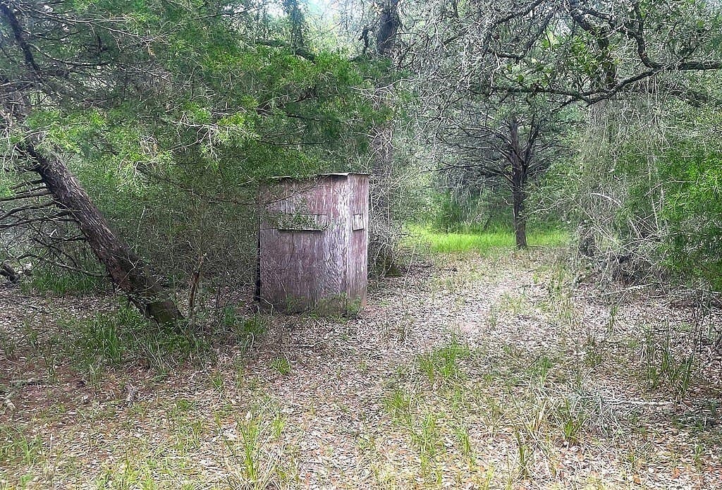 33.43 acres in Lavaca County - photo 4