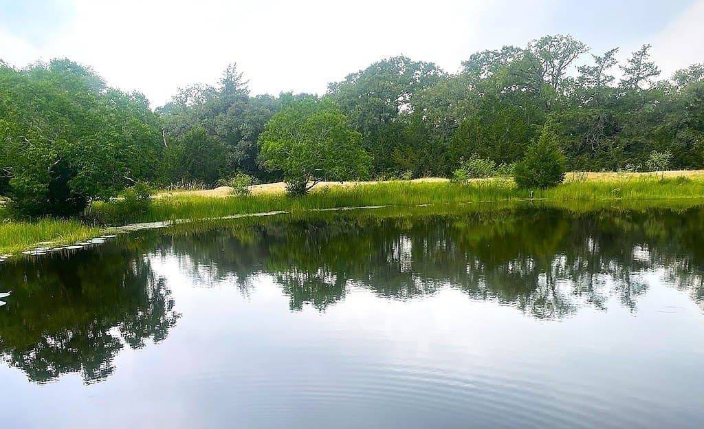 33.43 acres in Lavaca County - photo 11