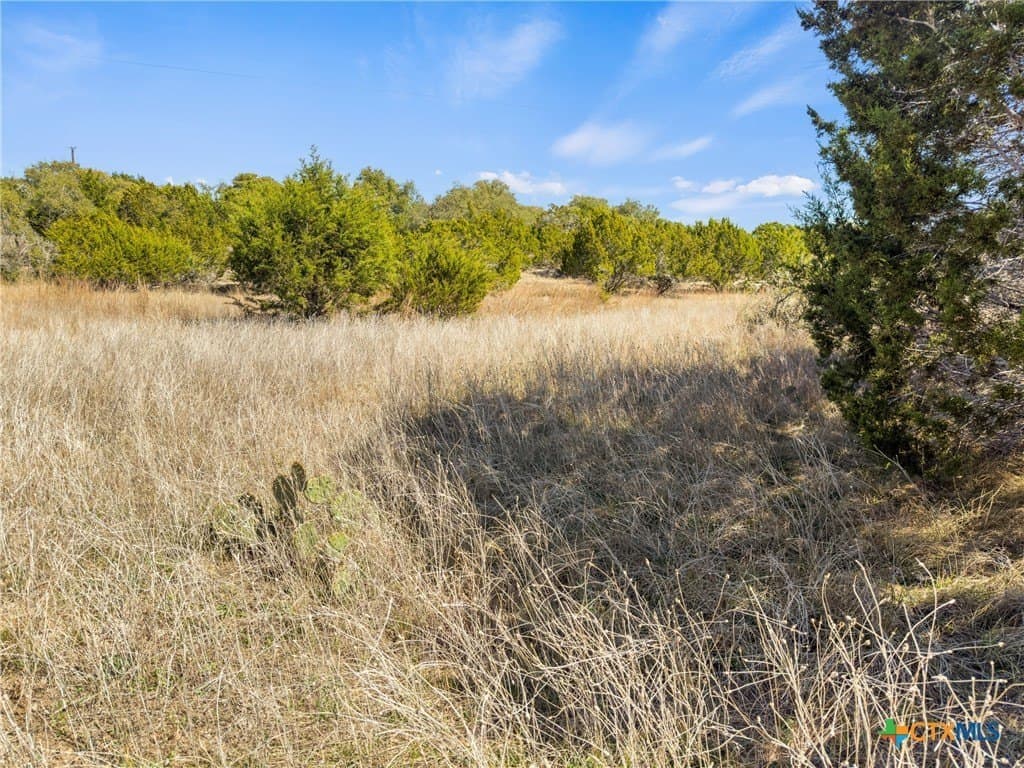 4.69 acres in Comal County - photo 6