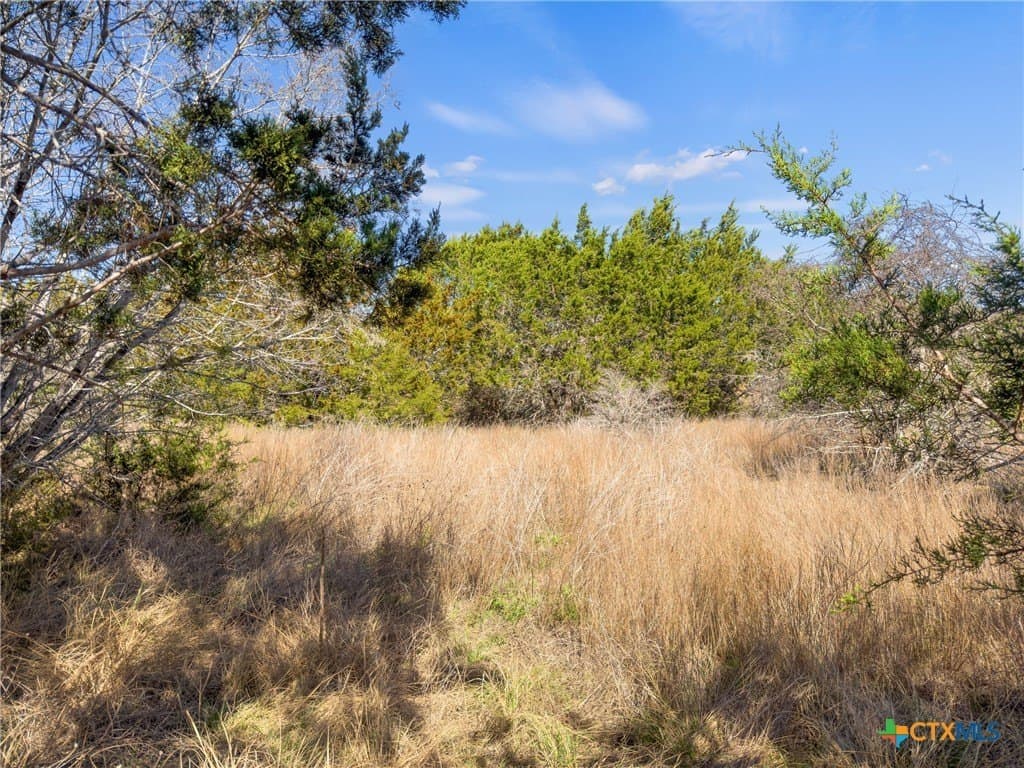 4.69 acres in Comal County - photo 16