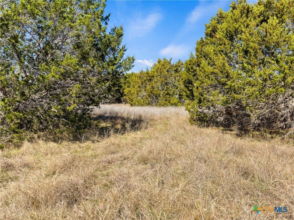 4.69 acres in Comal County - photo 7