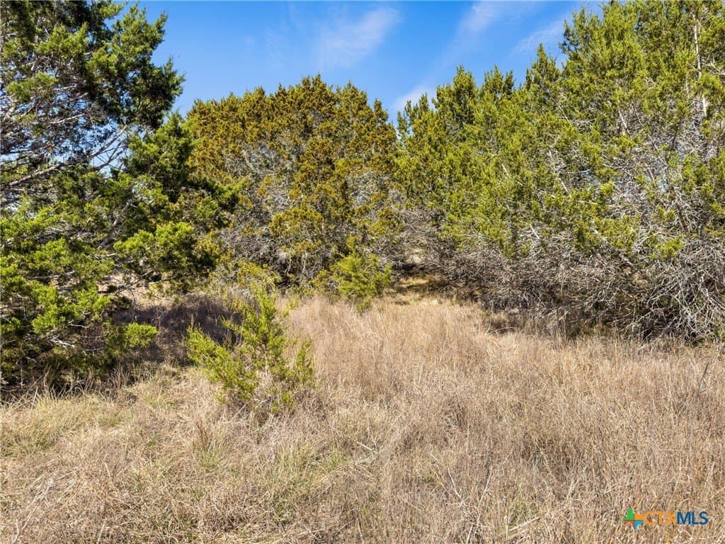 4.69 acres in Comal County - photo 9