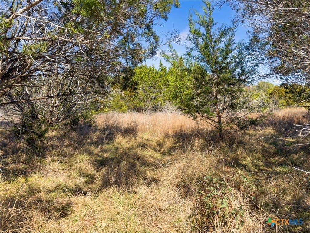 4.69 acres in Comal County - photo 21