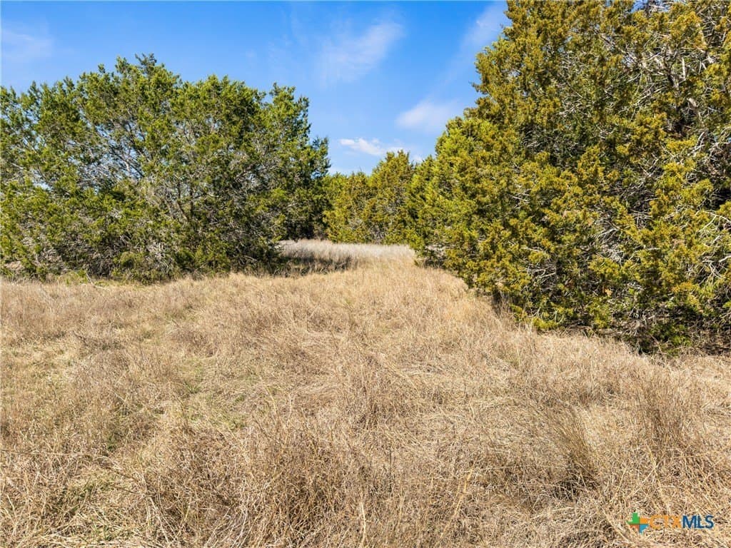 4.69 acres in Comal County - photo 8