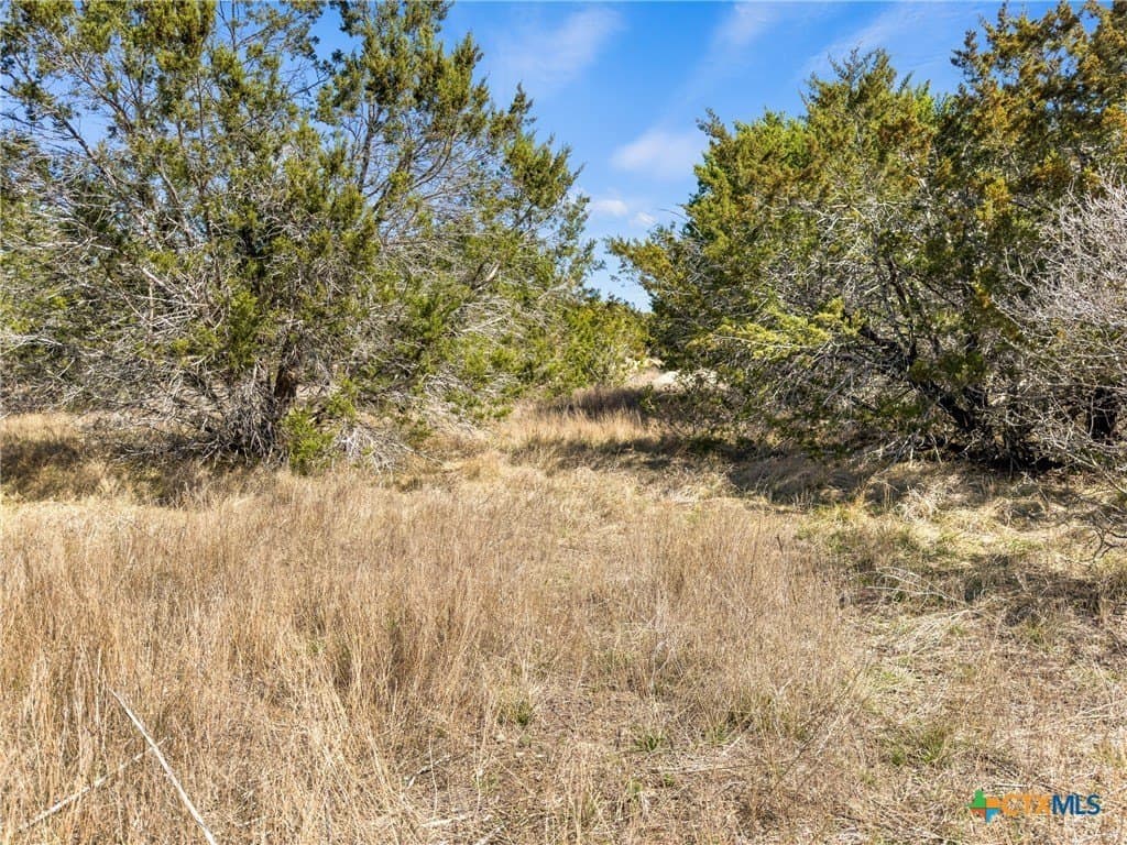 4.69 acres in Comal County - photo 10