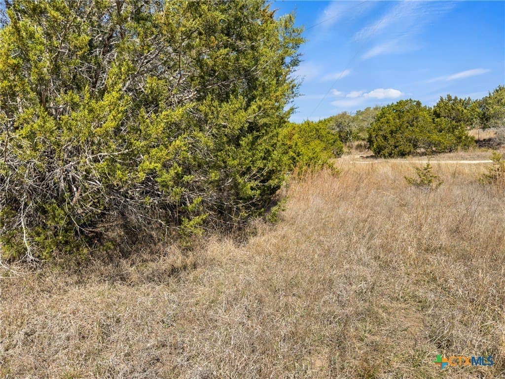 4.69 acres in Comal County - photo 5