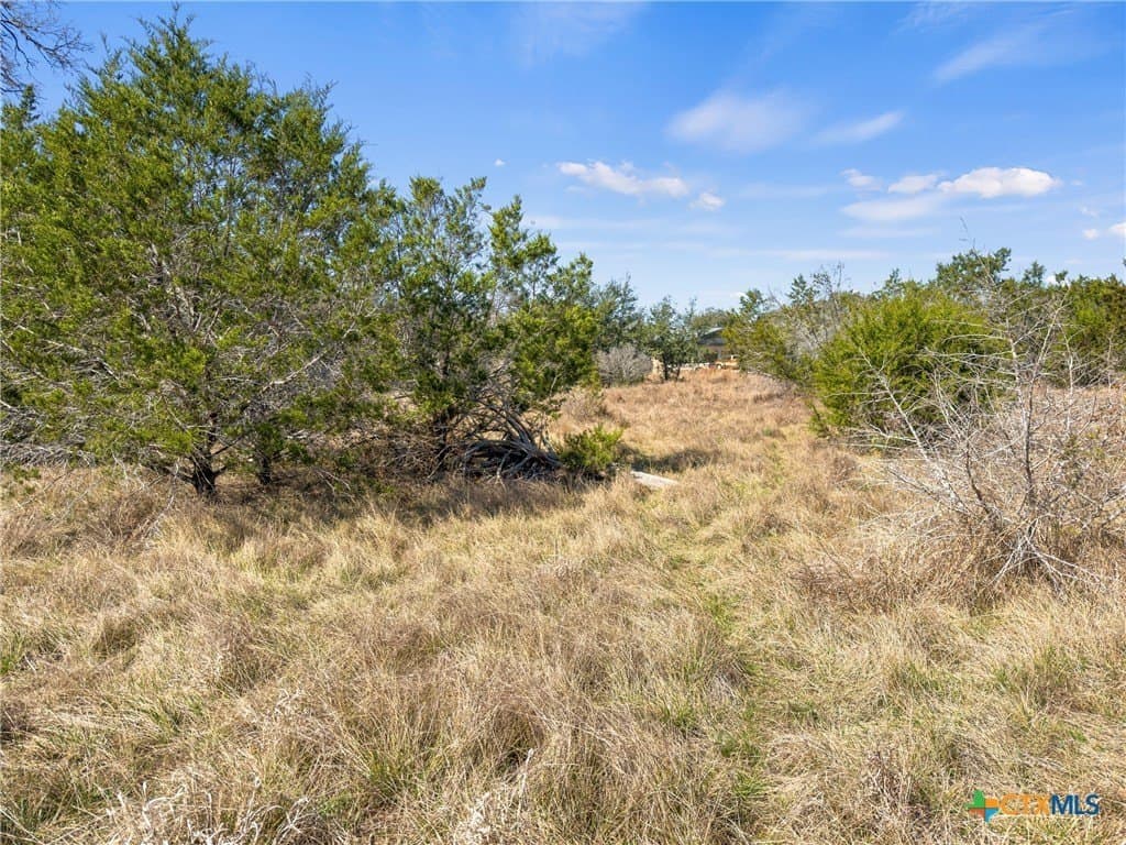 4.69 acres in Comal County - photo 19