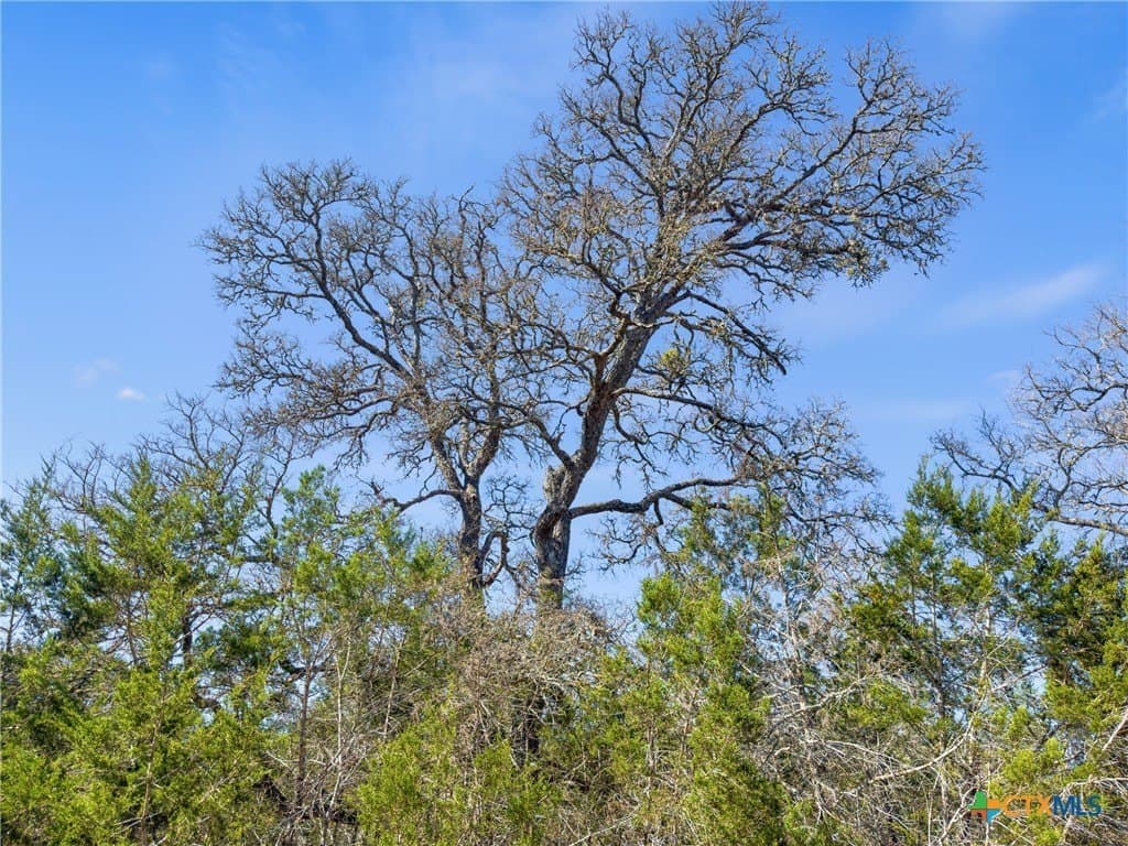4.69 acres in Comal County - photo 3