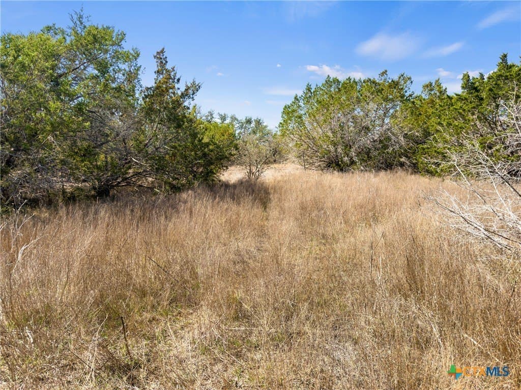 4.69 acres in Comal County - photo 12