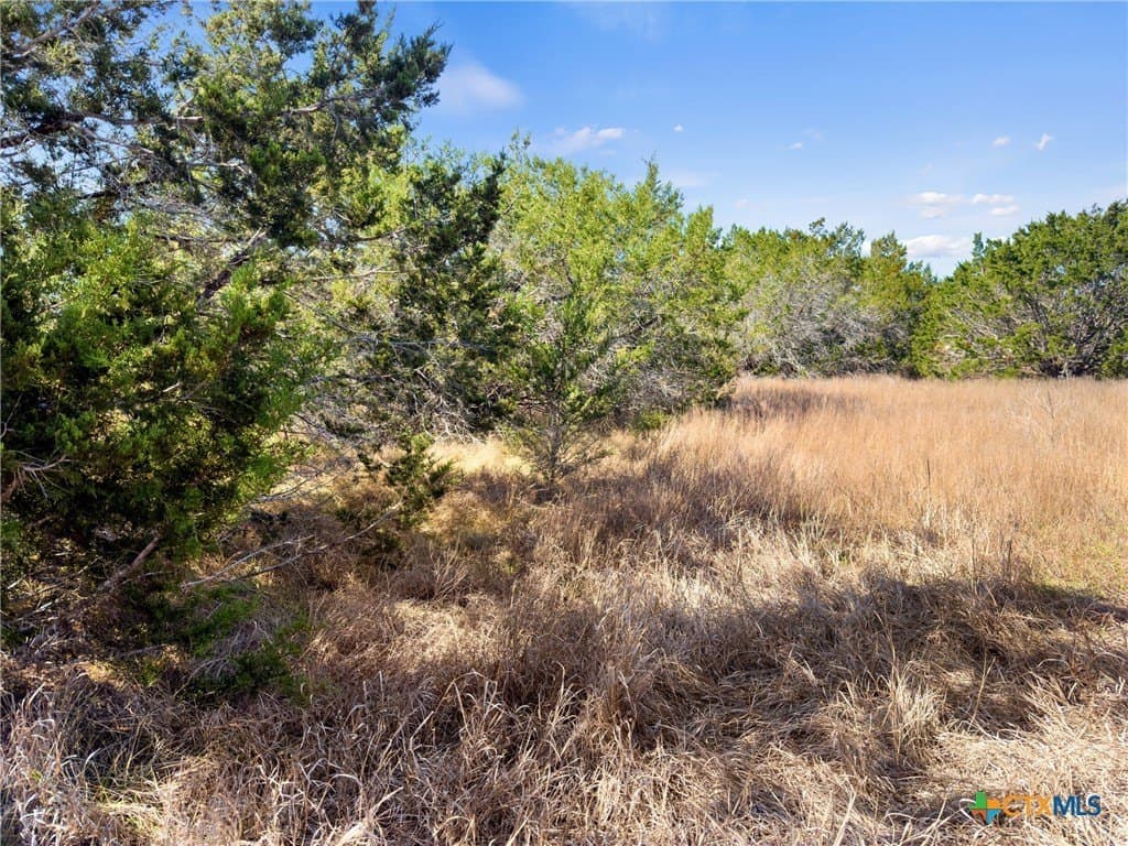 4.69 acres in Comal County - photo 14