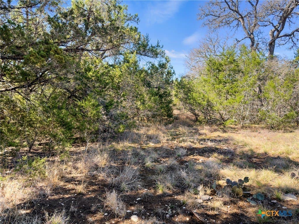 4.69 acres in Comal County - photo 20