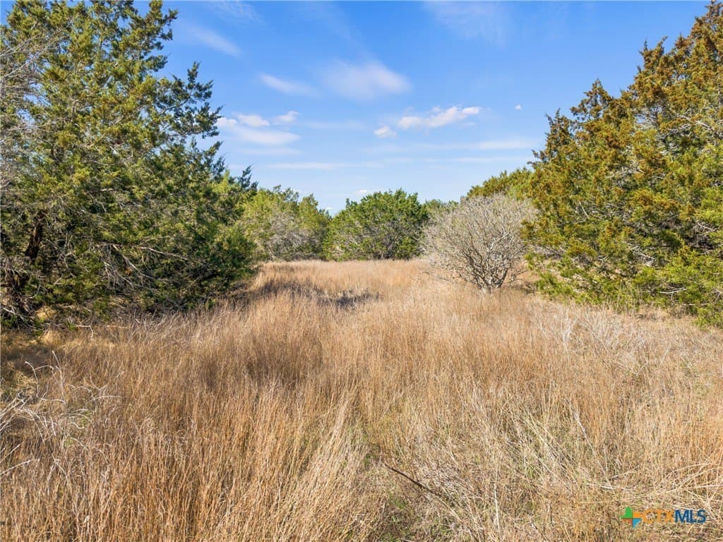 4.69 acres in Comal County - photo 15
