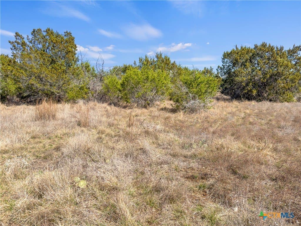 4.69 acres in Comal County - photo 17
