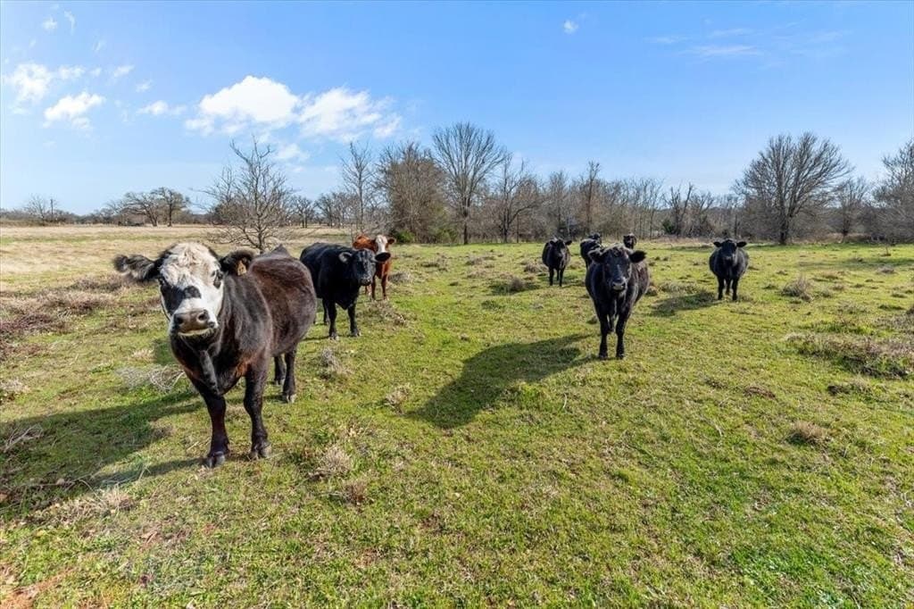 65.13 acres in Hill County - photo 30