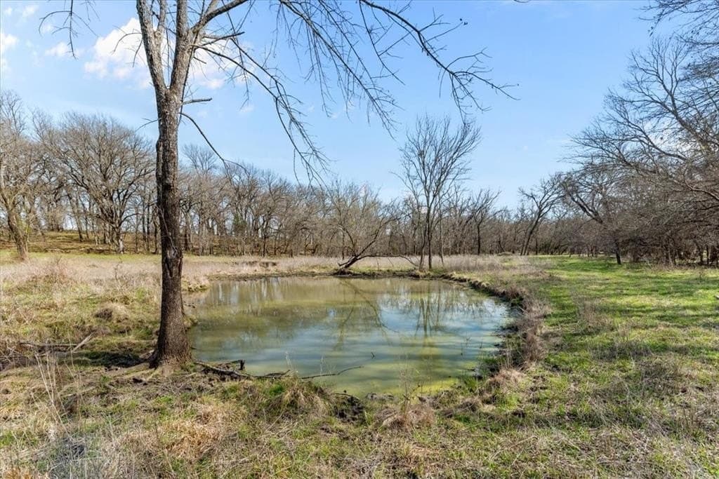 65.13 acres in Hill County - photo 25