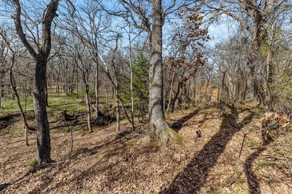 65.13 acres in Hill County - photo 24