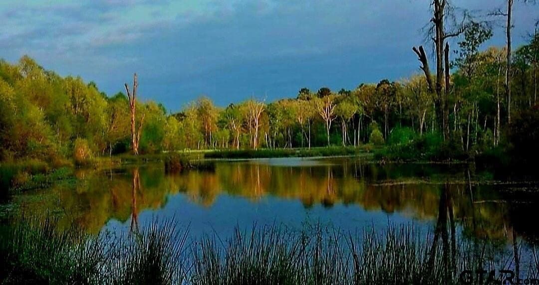 61.41 acres in Smith County - photo 31