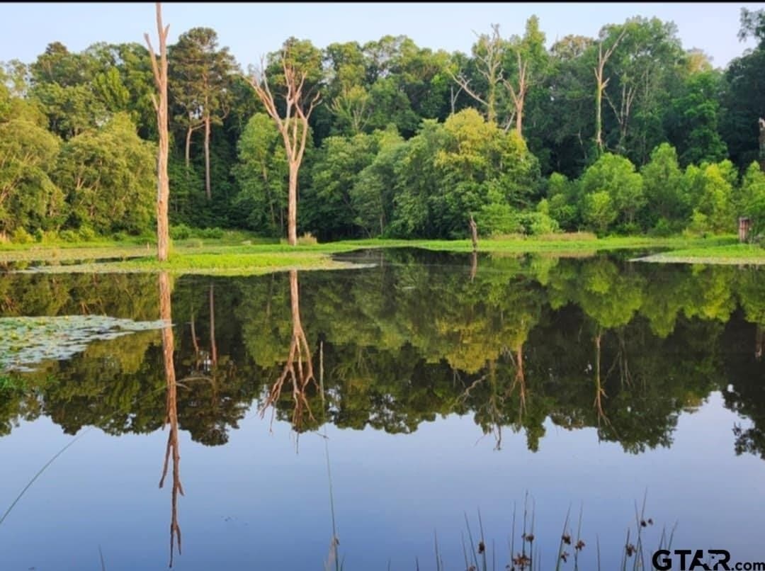 61.41 acres in Smith County - photo 5