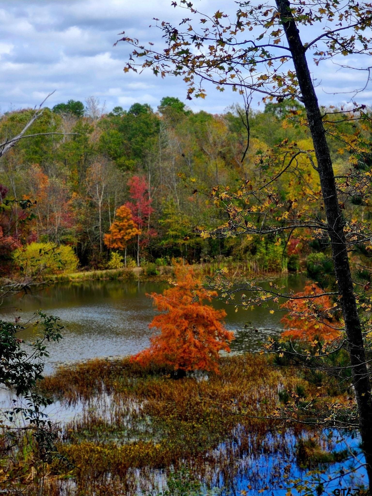 61.41 acres in Smith County - photo 26
