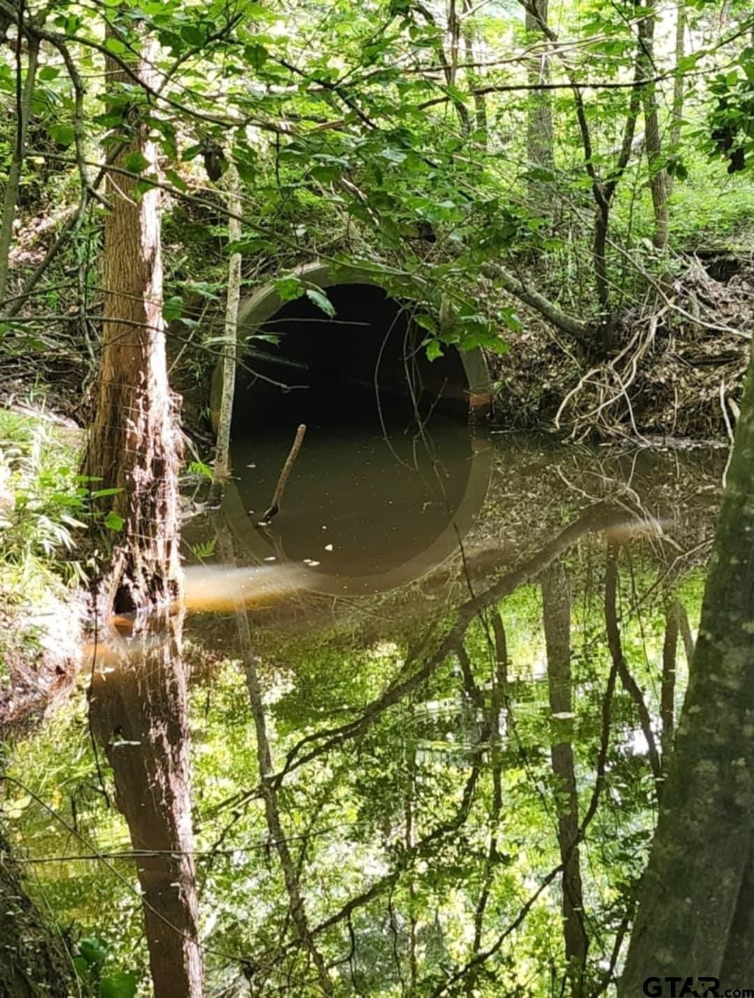 61.41 acres in Smith County - photo 28