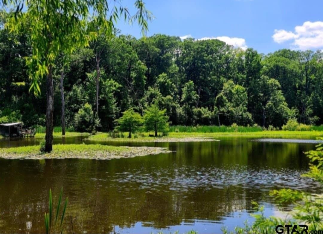 61.41 acres in Smith County - photo 6