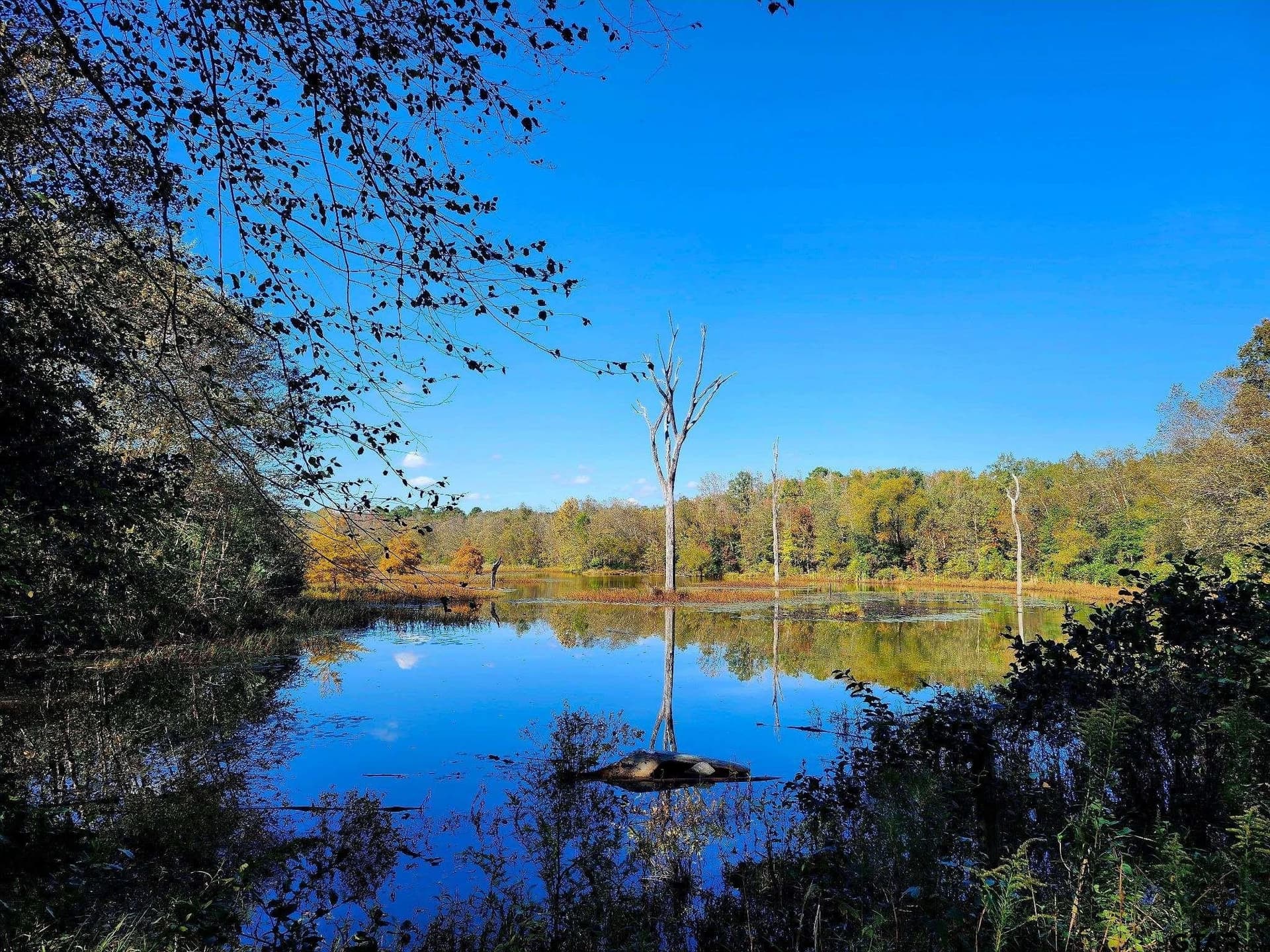 61.41 acres in Smith County - photo 32