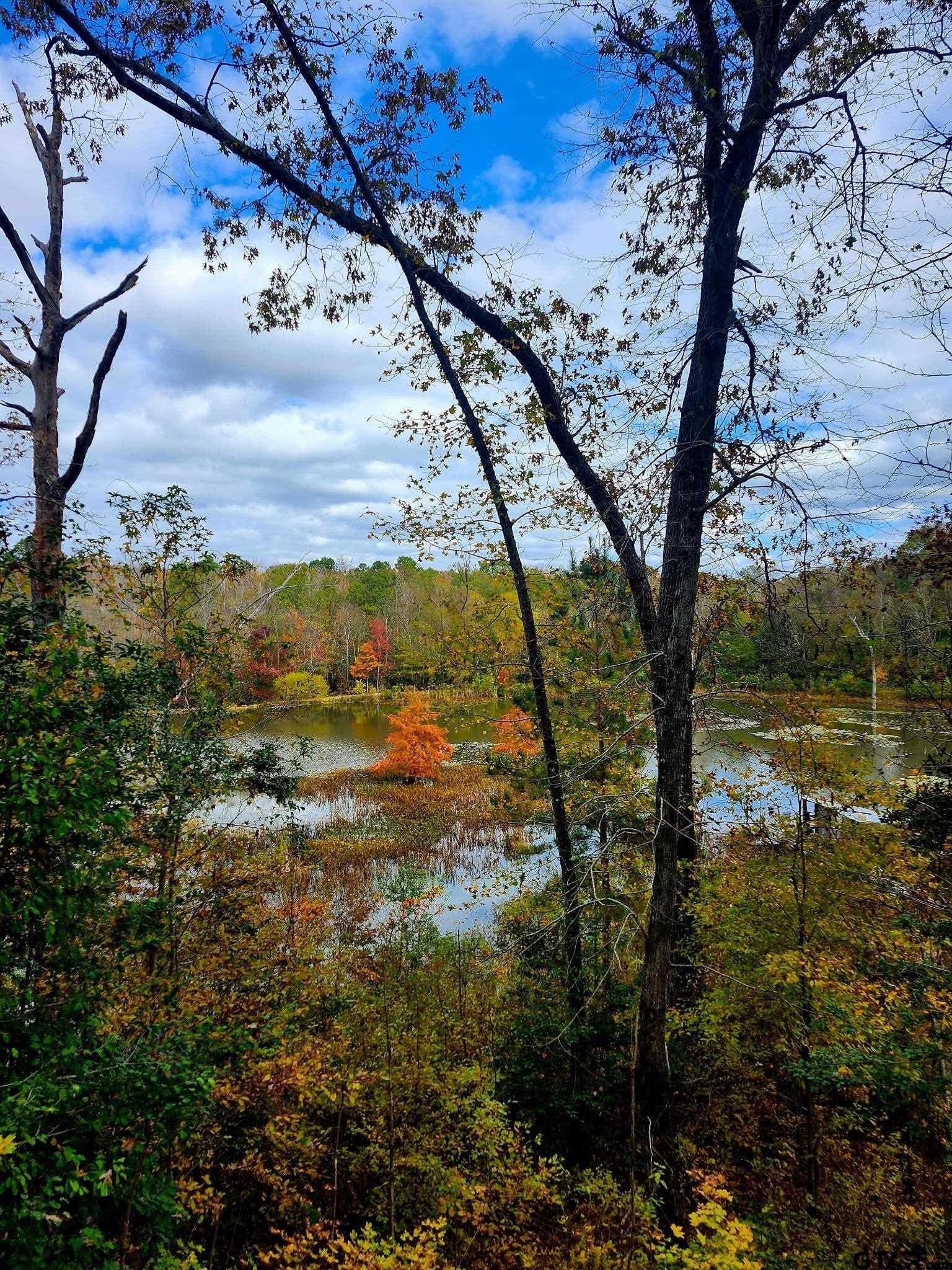 61.41 acres in Smith County - photo 27