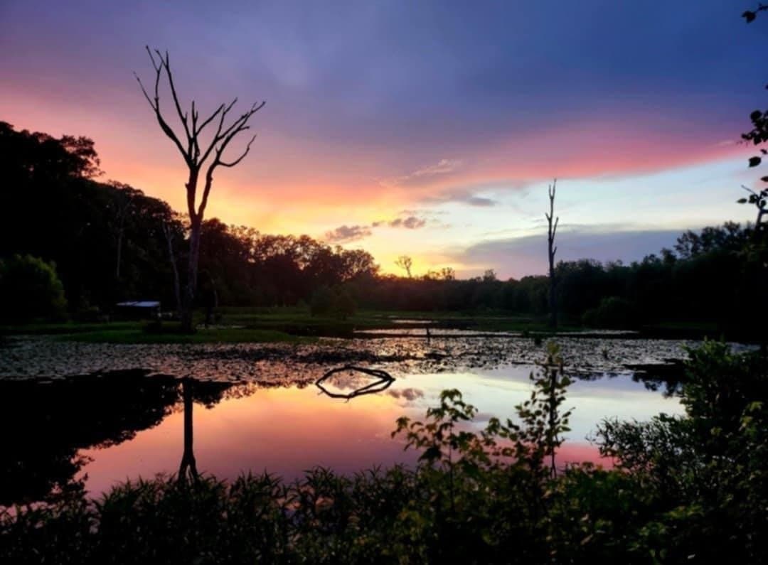 61.41 acres in Smith County - photo 8