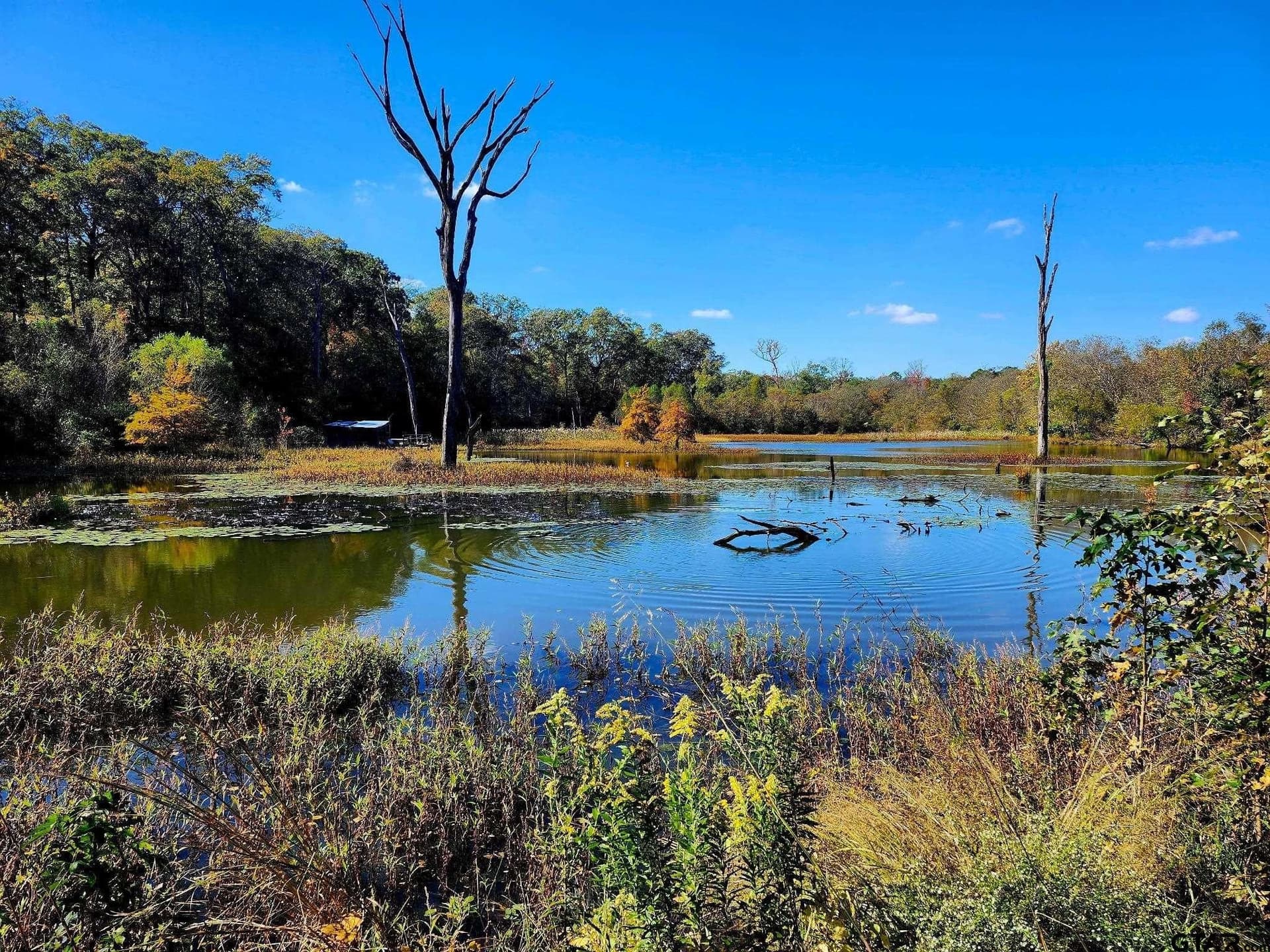 61.41 acres in Smith County - photo 33