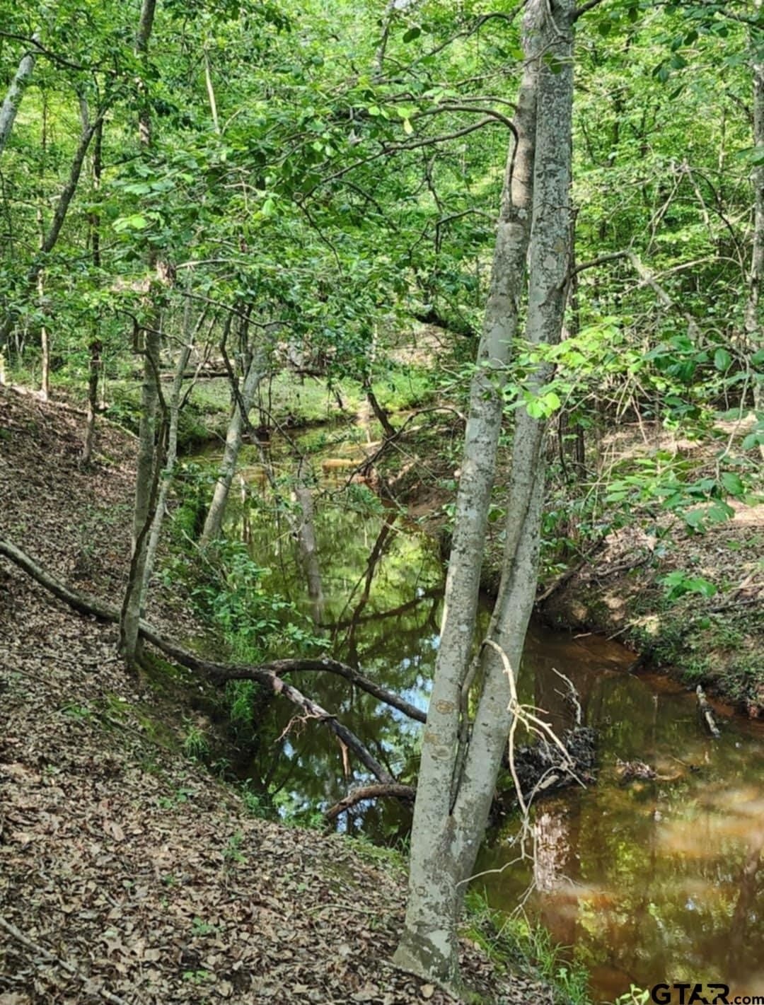 61.41 acres in Smith County - photo 30