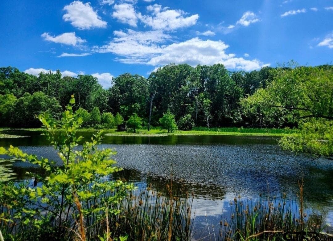 61.41 acres in Smith County - photo 3
