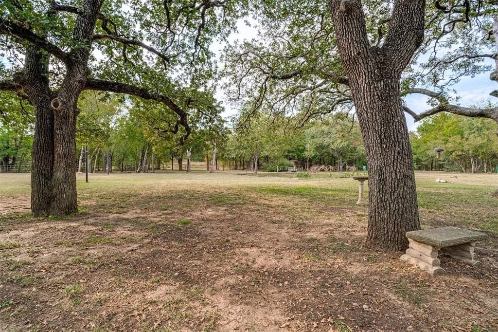 31.09 acres in Cooke County - photo 13