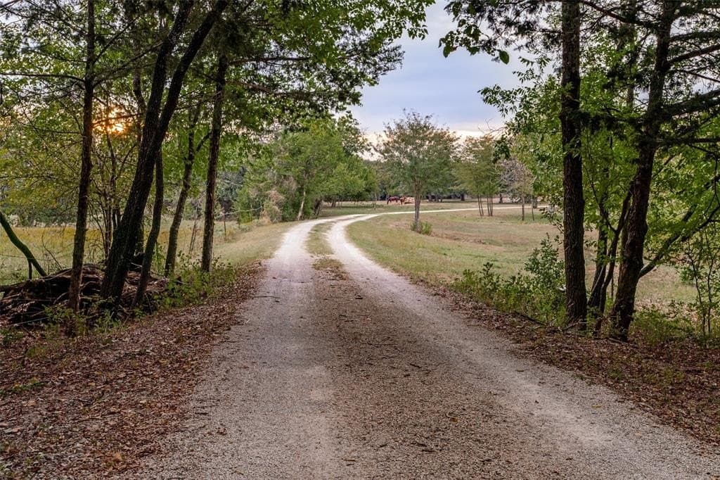 31.09 acres in Cooke County - photo 5