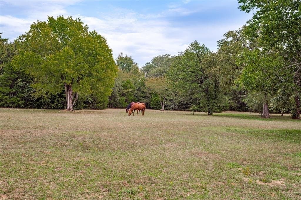31.09 acres in Cooke County - photo 9