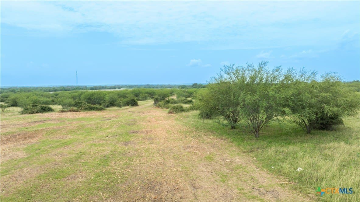 10.01 acres in DeWitt County - photo 11