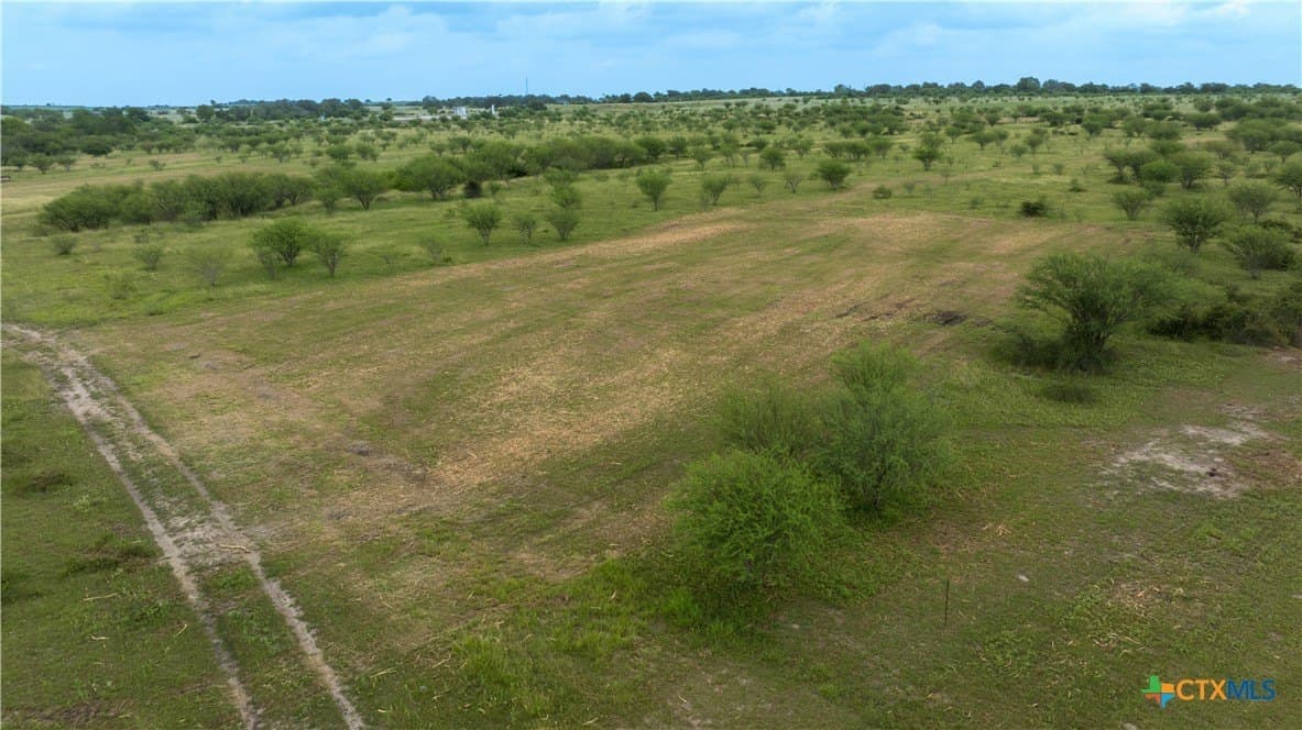 10.01 acres in DeWitt County - photo 13