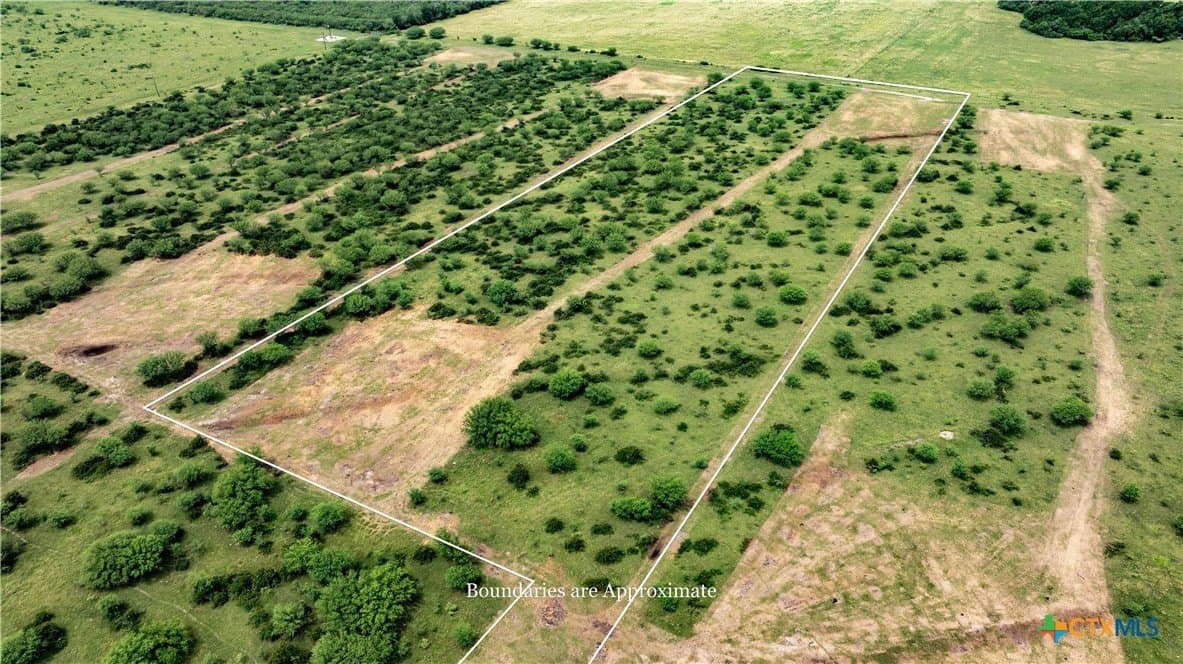 10.01 acres in DeWitt County - photo 3