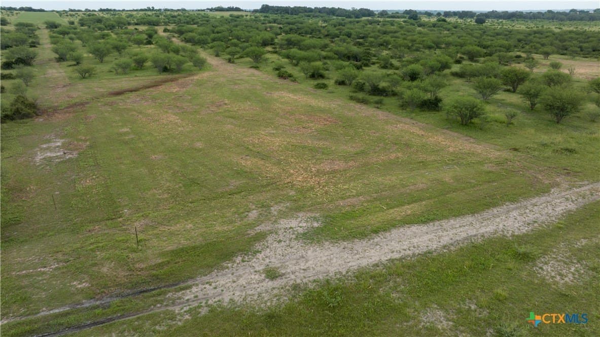 10.01 acres in DeWitt County - photo 12