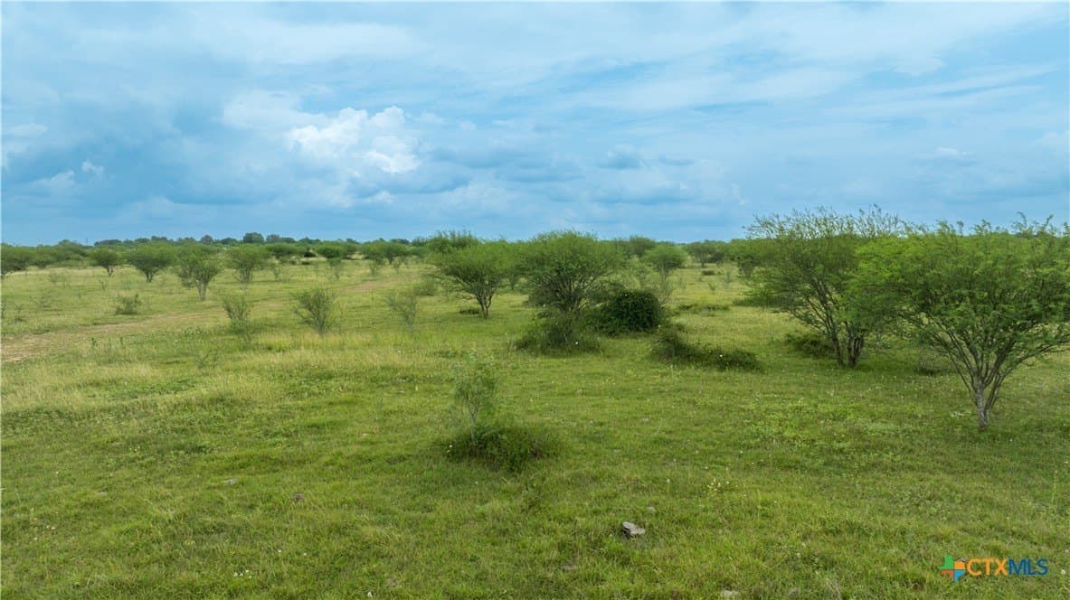 10.01 acres in DeWitt County - photo 16